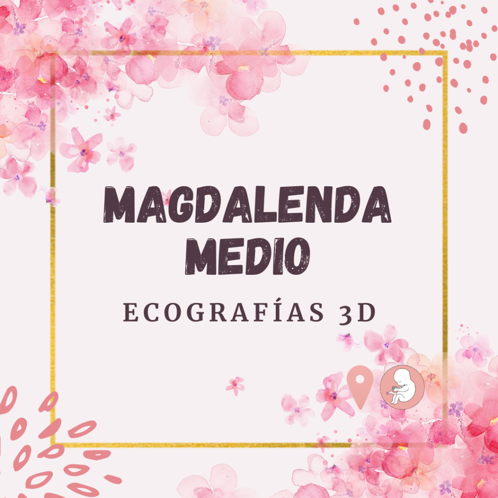 ecografia-magdalena-medioa