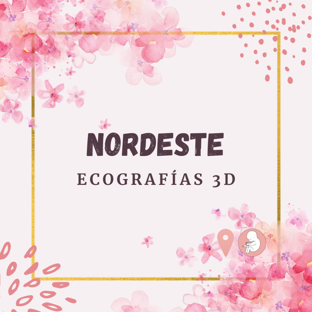 ecografia-nordeste