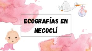 Ecografía 3D en Necoclí Antioquía