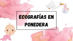 Ecografias-en-ponedera