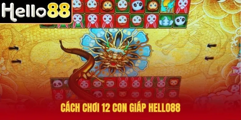 12 con giáp Hello88 cùng ba bước đặt cửa gọn rõ
